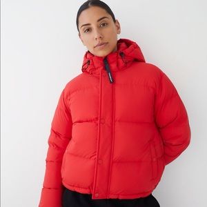 TNA Superpuff Shorty